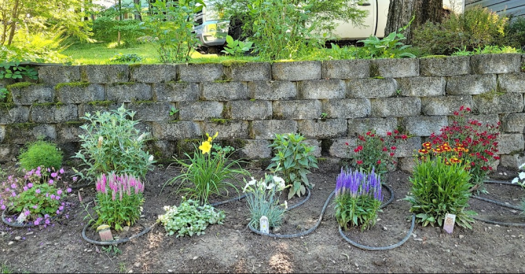 A small brick retaining wall in the background with various types of freshly planted flowers in the foreground
