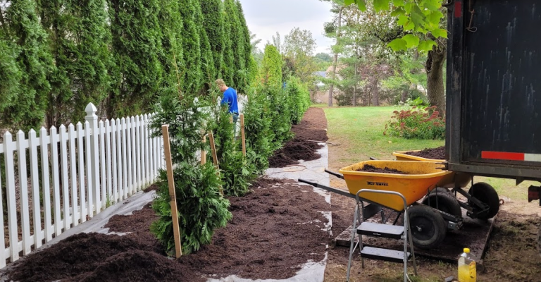 A man in a blue shirt planting trees alongside a white picket fence with a yellow wheelbarrow