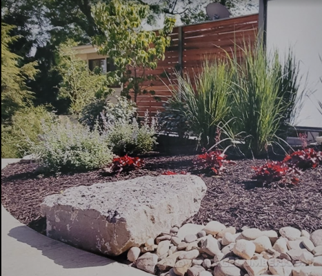 various landscaping rocks beautifying a mulch covered area with unique greenery planted